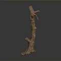 Brown Tree Stump With Irregular Shape And Textured Surface On Gray Gradient Background 3d model