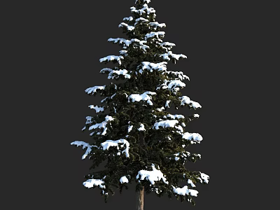 Snow Covered Arbor With Lush Green Branches And White Snow On Foliage 3d model