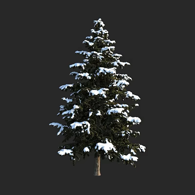 Snow Covered Arbor With Lush Green Branches And White Snow On Foliage 3d model