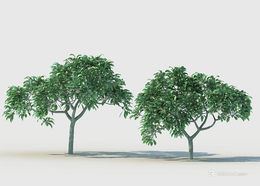 Lush Arbor Trees With Green Foliage And Natural Trunk Shadows 3d model