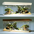 Natural Style Aquarium Interior Landscaping With Green Plants Rocks And Decorations