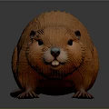 Orange Beaver with Fluffy Fur in Standing Pose on Gray Background Detailed Model