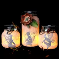 Illuminated Mason Jar Lanterns With Fairy Silhouettes Decorative Flowers And Green Leaves
