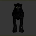 Black Leopard 3D Model With Standing Pose And Detailed Texture On Gray Background 3d model