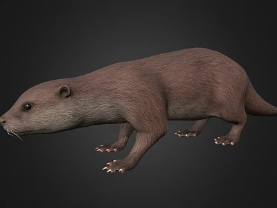 Realistic Brown Otter 3D Model With Detailed Fur And Natural Posture 3d model