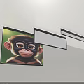 Projection Surveillance System With Ceiling Mounted Projectors And Wall Projected Animal Monitoring