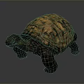 Large Brown Tortoise With Yellow Patterned Shell And Sturdy Legs On Gray Background 3d model