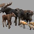 Modern Animals Forest Animals 3d model