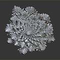 Coral Red Coral White Coral Blue Coral Gold Coral Black Coral Ball Coral Grass Coral Fine Finger Anemone 3d model