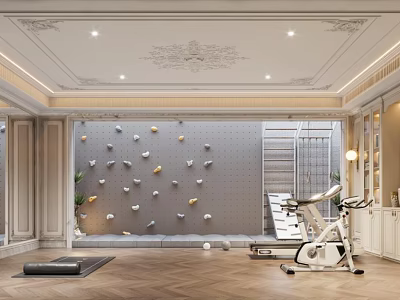 Luxurious Recreation Room With Climbing Wall Ornate Ceiling And Fitness Equipment 3d model