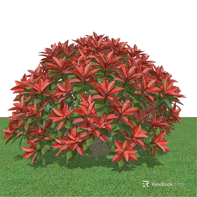 Vibrant Red Leafy Shrub With Lush Foliage Growing On Green Grass 3d model 