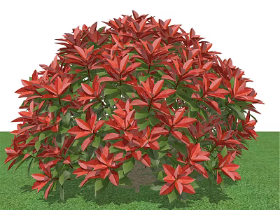 Vibrant Red Leafy Shrub With Lush Foliage Growing On Green Grass 3d model