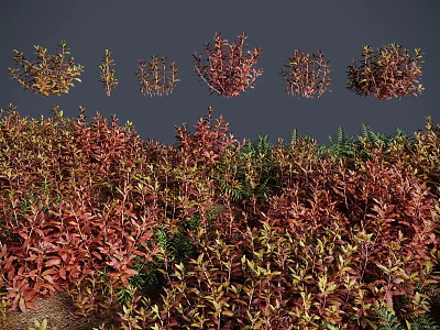 Various Colorful Shrubs With Different Foliage Types For Garden Landscape Design 3d model