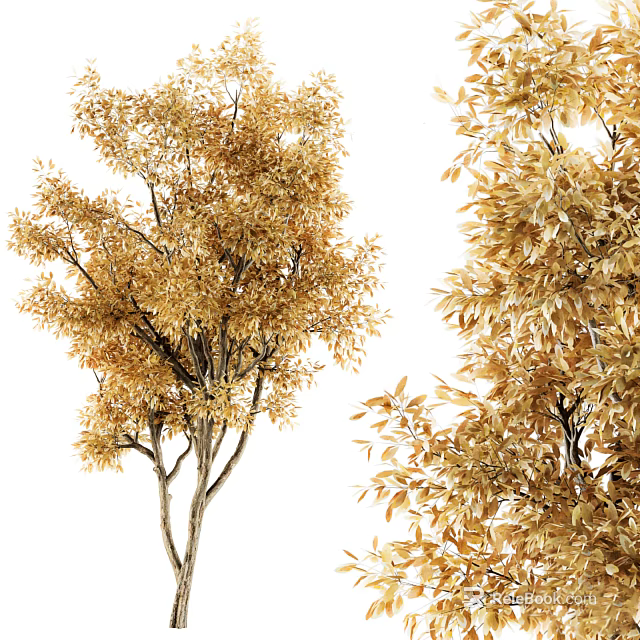 Tall Golden Leaf Arbor With Lush Branches And Scenic Autumn View 3d model 