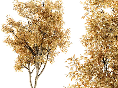 Tall Golden Leaf Arbor With Lush Branches And Scenic Autumn View 3d model