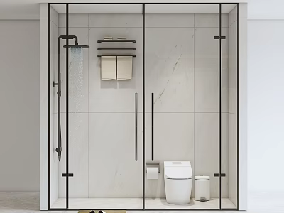 Stylish Black Shower Head in Modern Glass Enclosed Shower Room with White Tiled Walls 3d model