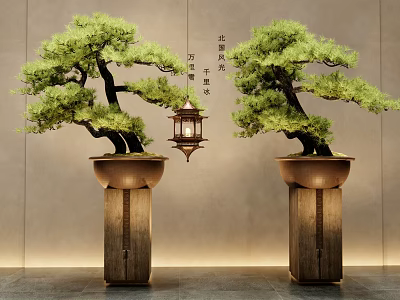 Traditional Chinese Style Two Green Pine Bonsai Plants On Wooden Stands With Hanging Lantern Indoor 3d model