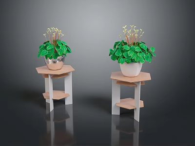 Green Leafy Plants With White Flowers On Hexagonal Wooden And White Stands 3d model