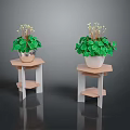 Green Leafy Plants With White Flowers On Hexagonal Wooden And White Stands