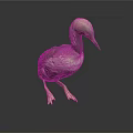 Gray and White Loon Bird Standing on Black Surface with Gray Background
