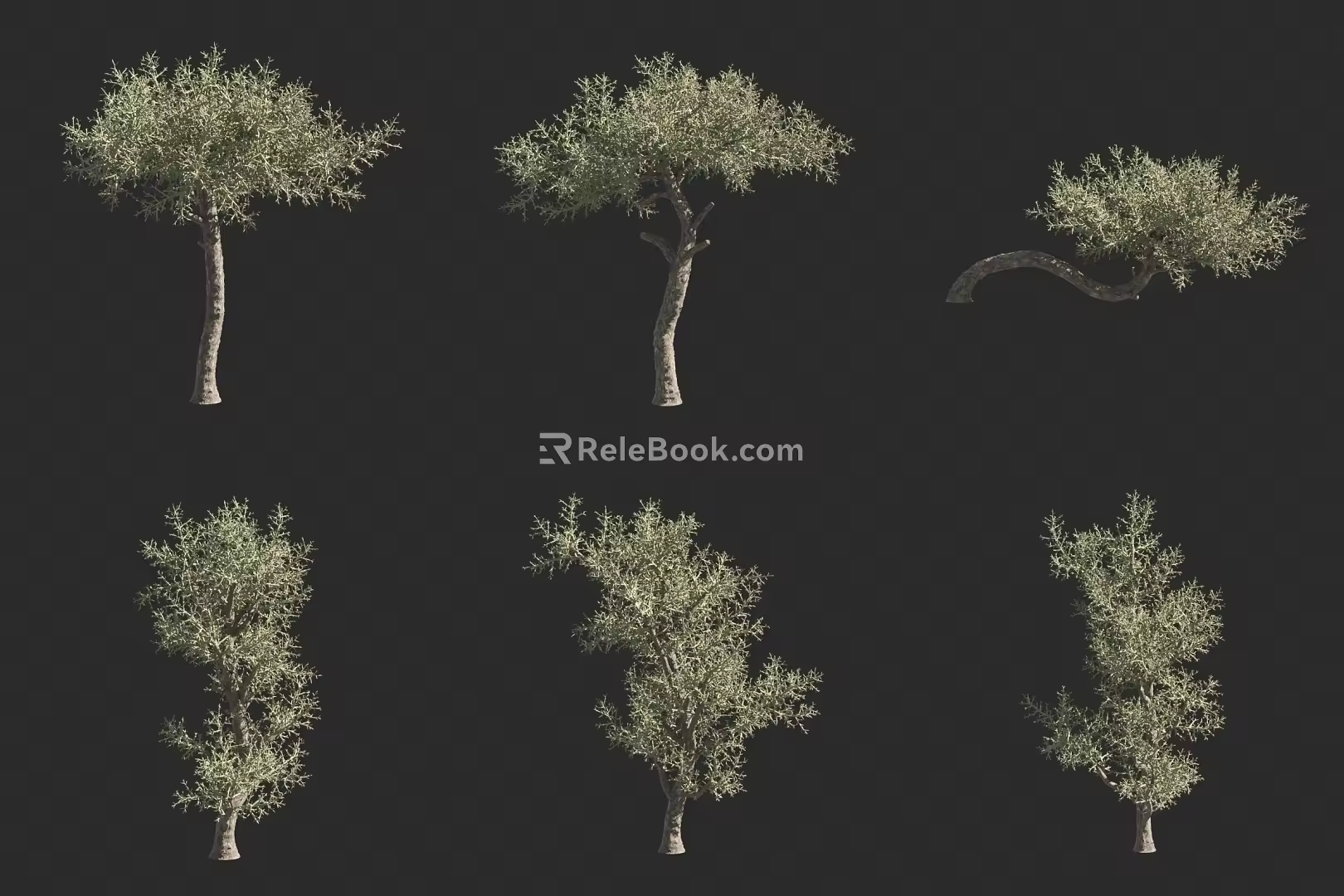 Silver Coral Tree 3d model