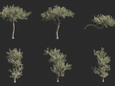 Silver Coral Tree 3d model