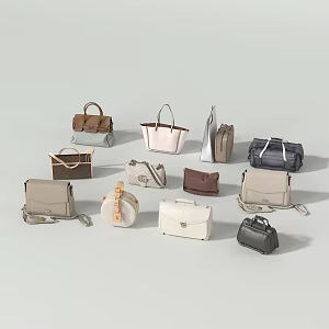 Women's Bag Combo 3d model