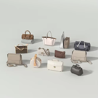 Women's Bag Combo 3d model