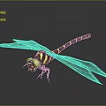 Green Eyed Dragonfly With Black And Yellow Striped Body And Transparent Wings