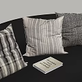 Striped And Textured Decorative Pillows On Black Sofa With Changing The World Book