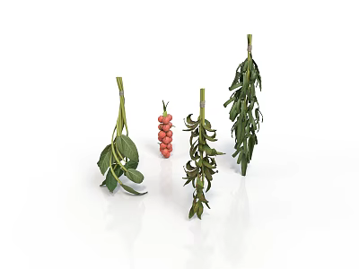 Fresh Various Herbs With Green Leaves And Red Berries Arranged 3d model