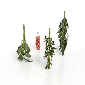 Fresh Various Herbs With Green Leaves And Red Berries Arranged
