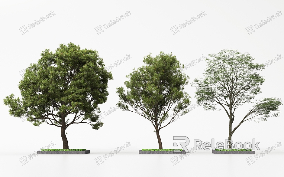 Landscape Trees Garden Trees Trees Trees model