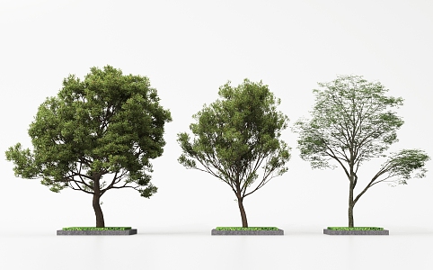 Landscape Trees Garden Trees 3d model