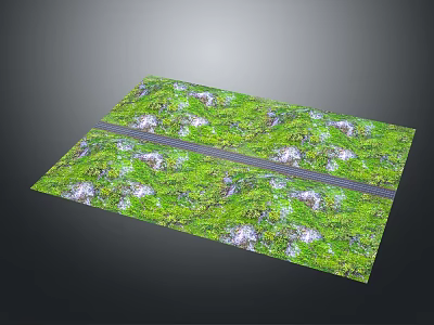 Lush Garden Landscape With Green Grass White Stone Accents And Central Gray Path 3d model