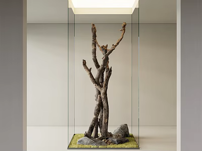Natural Wood Branches With Rocks And Green Moss In Glass Display Case With Ceiling Light 3d model