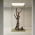 Natural Wood Branches With Rocks And Green Moss In Glass Display Case With Ceiling Light
