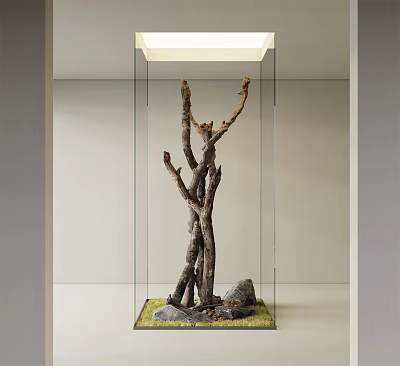 Natural Wood Branches With Rocks And Green Moss In Glass Display Case With Ceiling Light 3d model