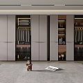 Modern Built in Wardrobe Interior With Hanging Rods Shelves And Ambient Lighting