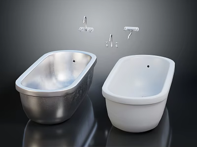 Two Modern Silver And White Bathtubs With Wall Mounted Faucet Accessories 3d model