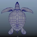 Reptile Sea Turtle With Textured Shell And Flippers Swimming Gracefully