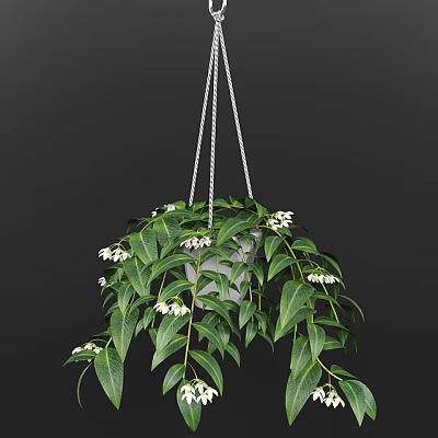 Lush Hanging Plant with Green Leaves and White Flowers for Home Decoration 3d model