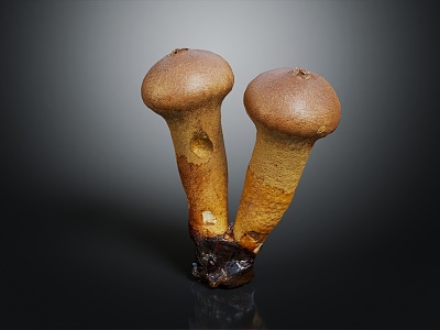 Modern matsutake mushroom straw mushroom 3d model