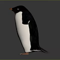 Penguin Character Standing With Outstretched Wings Black White Plumage And Orange Feet On Gray Background
