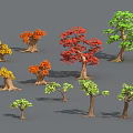 Different Types of Arborescent Trees with Colorful Foliage and Varied Sizes