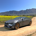 Silver BMW Coupe On Dirt Road Amid Yellow Flower Field Distant Mountains And Blue Sky