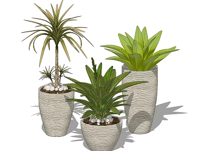 Three Different Potted Green Plants in Light Textured Planters with Pebble Decor 3d model