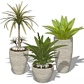 Three Different Potted Green Plants in Light Textured Planters with Pebble Decor