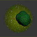 Green Leafy Tree With Brown Trunk And Lush Green Grass With Small Mushrooms