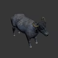 Detailed Gray Cow 3D Model Standing On Black Background With Horns